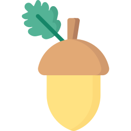 Acorn icon