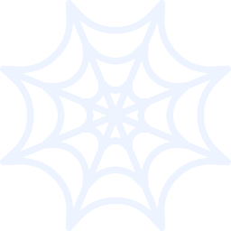 Spiderweb icon