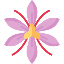 Saffron icon