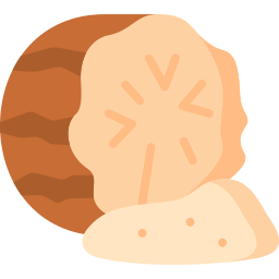 Nutmeg icon