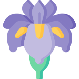 iris icono