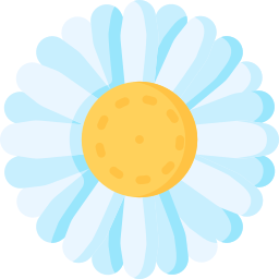 gänseblümchen icon