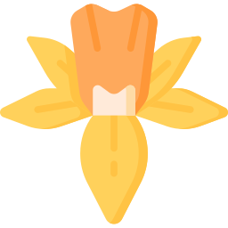 daffodil Ícone