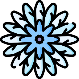 chrysantheme icon