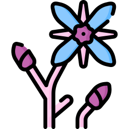 Borage icon