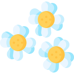 Chamomile icon