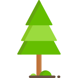 Pine icon