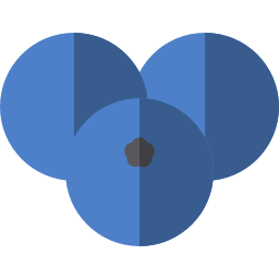 ブルーベリー icon