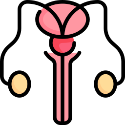 Testicles icon