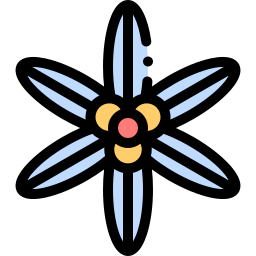 シシリンキウム icon