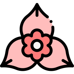 bougainvillea icon