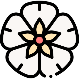 수국 icon