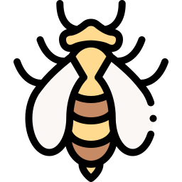 Wasp icon