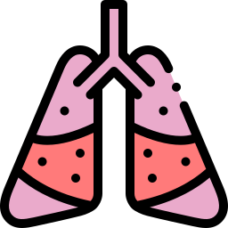 Lungs icon