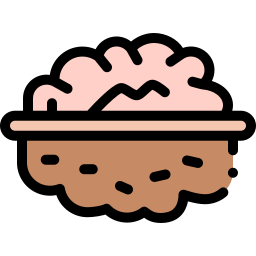 Walnut icon