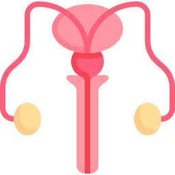 睾丸 icon