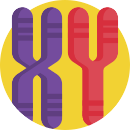 Хромосомы иконка