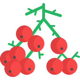 Berries icon