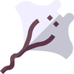 manta icon