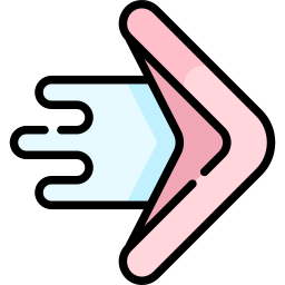 Boomerang icon