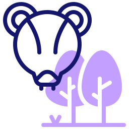 marsupial icono