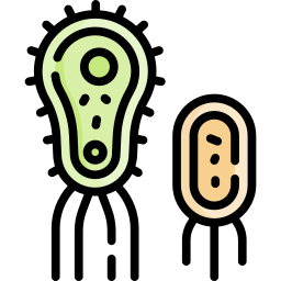 microbo icona