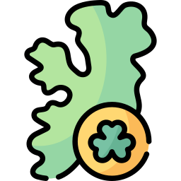 irlandia ikona