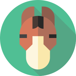 pferd icon