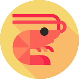 Shrimp icon