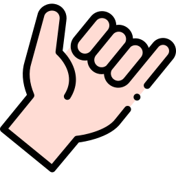 Hang loose hand icon