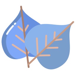 Leaf icon