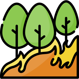 Wildfire icon