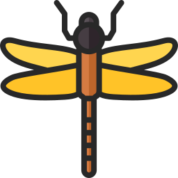 libellula icona