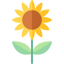 Sunflower icon