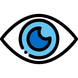 vision icon