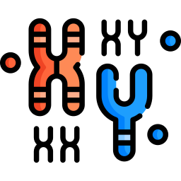 Хромосома иконка