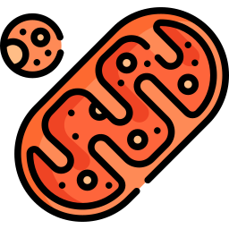 mitocondri icona