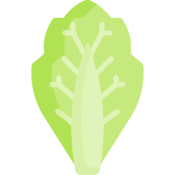 Cabbage icon