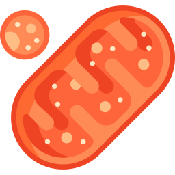 mitochondriën icoon