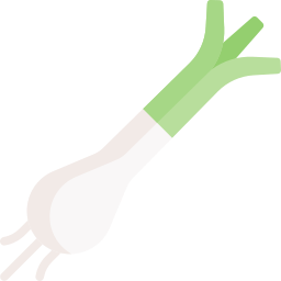 Leek icon