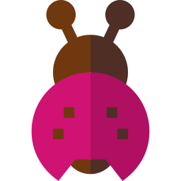 Ladybug icon