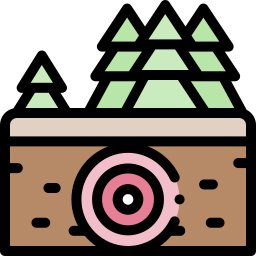 Earthquake icon