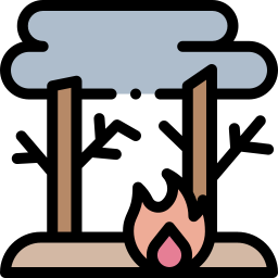 Wildfire icon