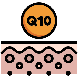 q10 icono