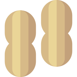 arachidi icona