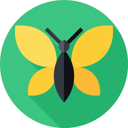 Butterfly icon