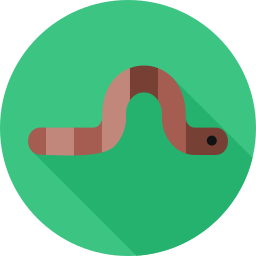 Worm icon