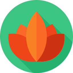 Lotus flower icon