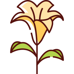 lilly icono