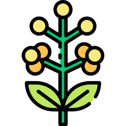 wattle icon